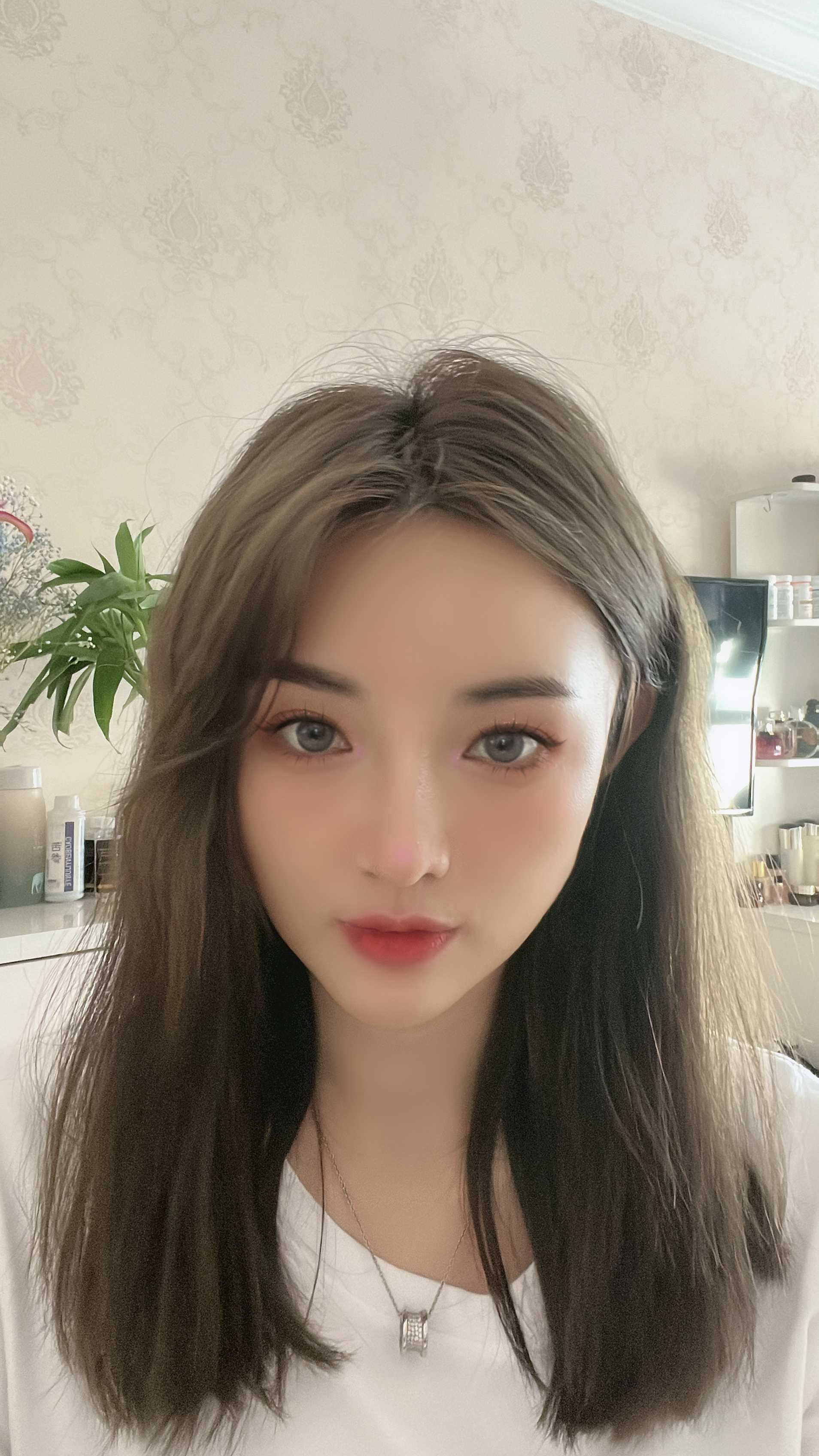 明治区维维