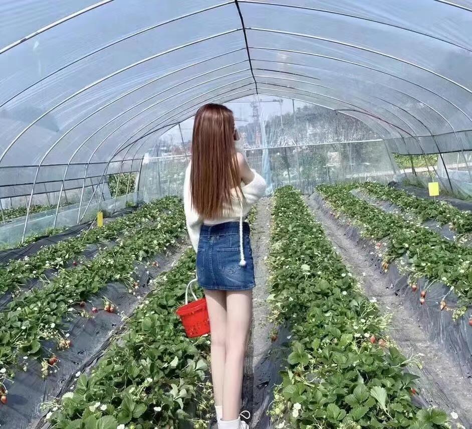 物美价廉 你开房,她上门。不是太好约