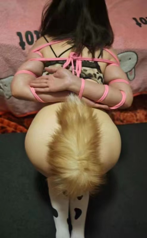 smSao货本子柒