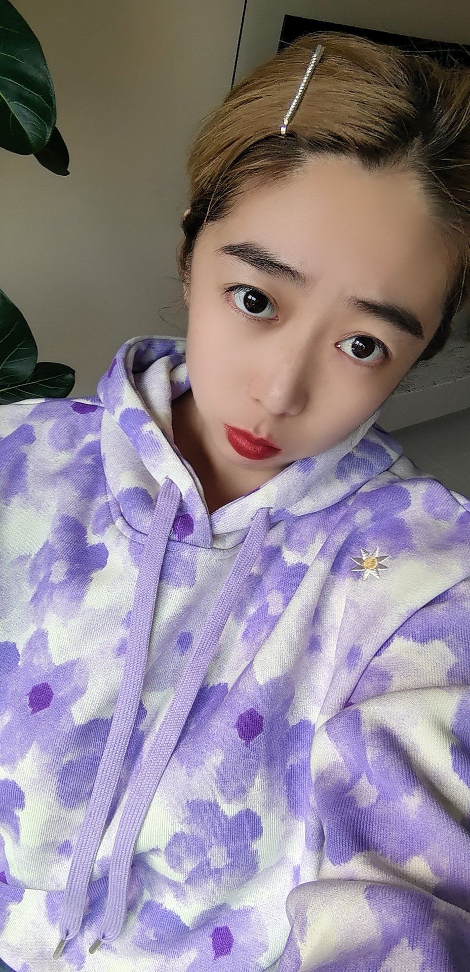 哈尔滨哈西比较特丹